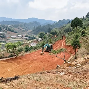 Land Clearing Machine & Manpower